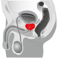 You2Toys Twister Prostatavibrator 12 You2Toys Twister Prostatavibrator -Par Sexleketøy butikk 17093 you2toys twister prostate vibrator q 100 06