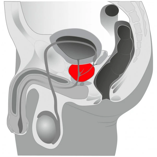 You2Toys Twister Prostatavibrator 6 You2Toys Twister Prostatavibrator - Bilde 6