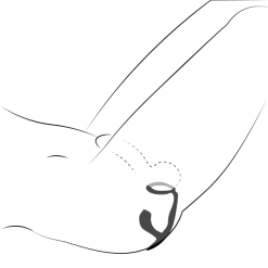 Fun Factory Bootie Ring Med Prostatastimulator -Par Sexleketøy butikk 17814 fun factory bootie ring with prostate stimulator 10 illustration q100