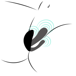 Sinful Triple Teaser Fjernstyrt Vibrator -Par Sexleketøy butikk 24511 sinful triple teaser remote controlled vibrator 1 q100