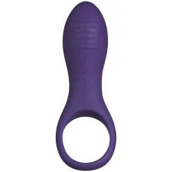 Sinful Passion Purple Oppladbar Vibrerende Penisring