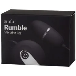 Sinful Rumble Vibrerende Egg -Par Sexleketøy butikk 26228 sinful rumble vibrating egg 90 pack q100