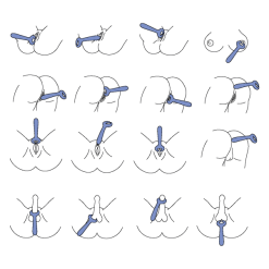 Sinful Unlimited Pleasure Very Peri Parvibrator 14 Sinful Unlimited Pleasure Very Peri Parvibrator -Par Sexleketøy butikk 26899 sinful unlimited pleasure very peri couple s vibrator q100