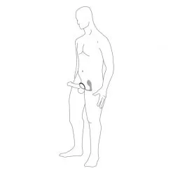 Anal Fantasy Elite Oppladbar Ass-Gasm Pro -Par Sexleketøy butikk ass gasm pro illustration 10 q100 2